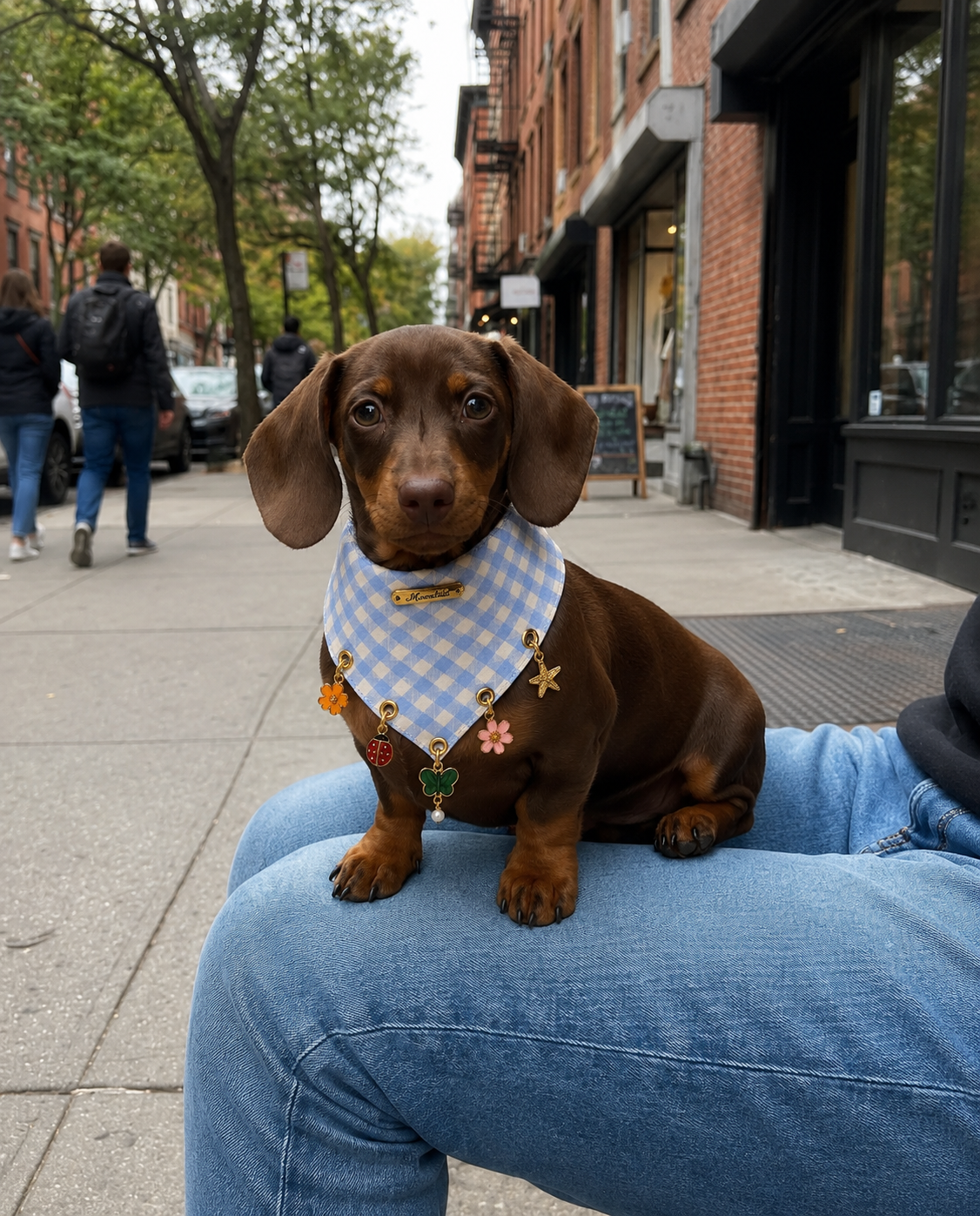 Moon Pup: Charm Bandanas for Your Furry Baby